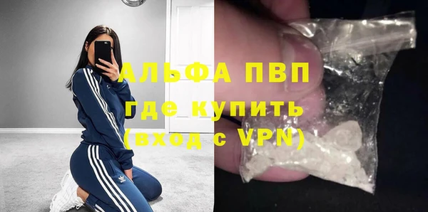 прущие грибы Нефтегорск