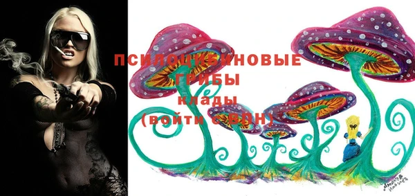 винт Новозыбков
