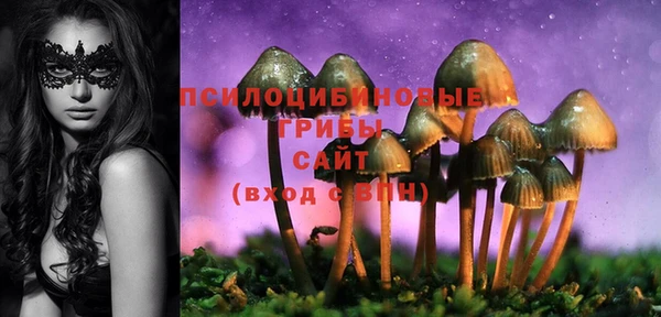 Альфа ПВП Новокубанск